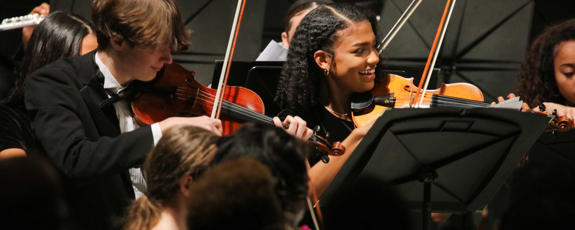 AMP violins