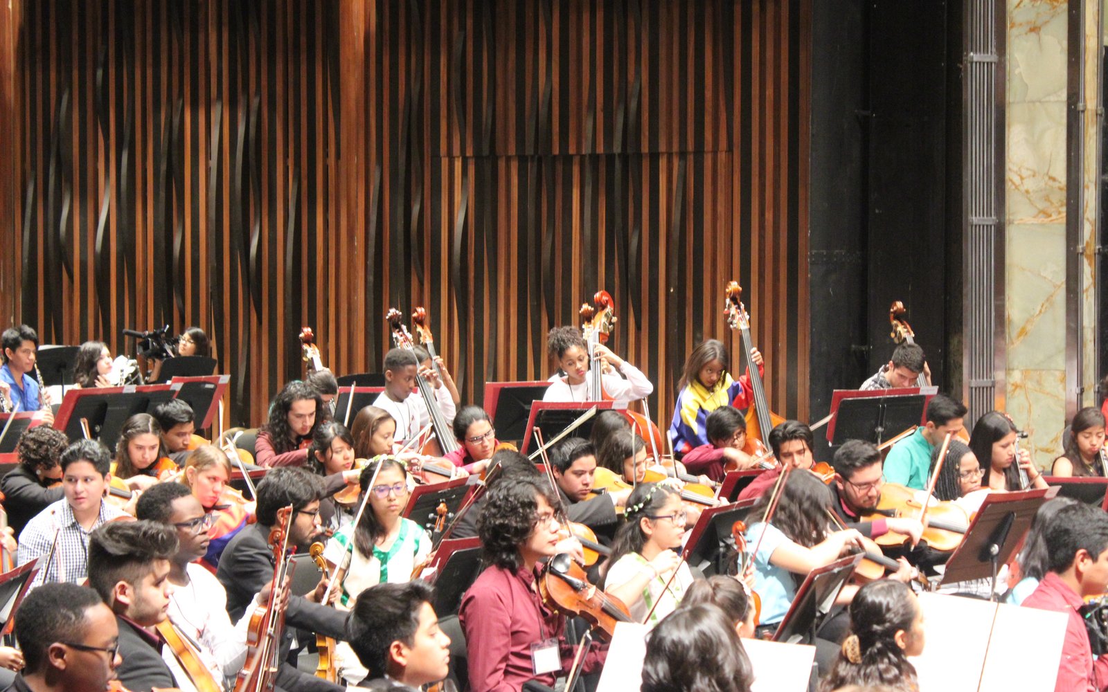 Alivia, AMP double bassist, in Mexico City